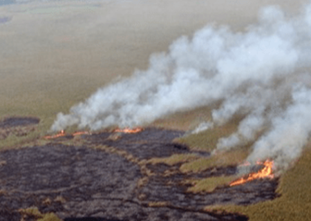 دستور رهاسازی آب برای هورالعظیم صادر شد