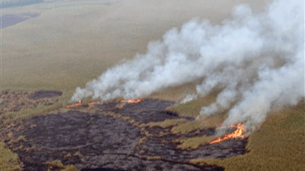 دستور رهاسازی آب برای هورالعظیم صادر شد