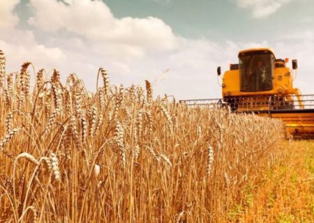 مدیرکل غله و خدمات بازرگانی خوزستان: