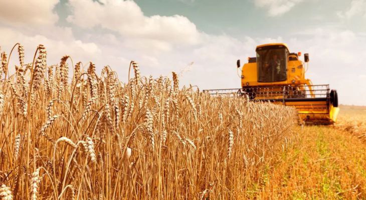 مدیرکل غله و خدمات بازرگانی خوزستان: