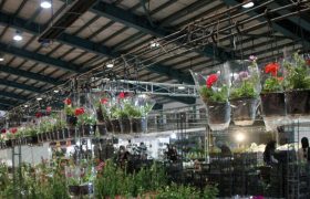 گشایش دو نمایشگاه تخصصی در اهواز