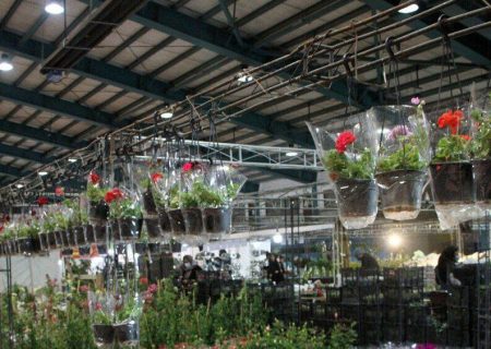 گشایش دو نمایشگاه تخصصی در اهواز