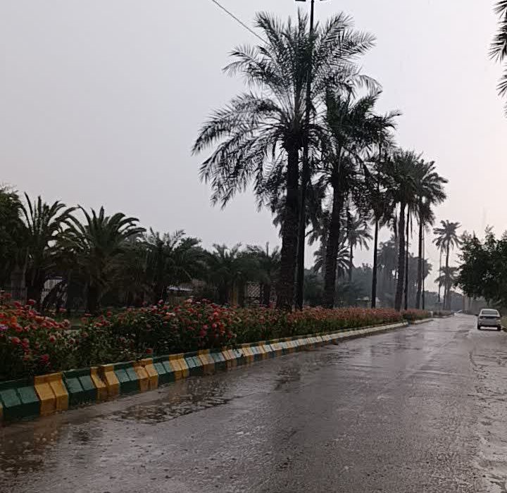 باران دلانگیز پاییزی اهواز را شگفتانگیز کرد!