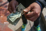 نظام تک نرخی ارز در شرایط کنونی ممکن نیست