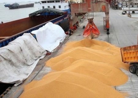 ذخیره 4 میلیون تن گندم به عنوان ذخایر استراتژیک