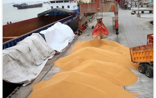 ذخیره 4 میلیون تن گندم به عنوان ذخایر استراتژیک