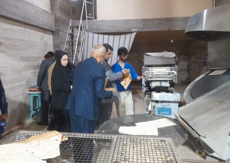 گشت نظارت بر فعالیت نانوایی ها با حضور علی بویری فرماندار اهواز